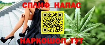 прущие грибы Пушкино