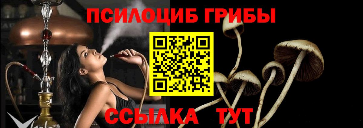 Псилоцибиновые грибы Psilocybine cubensis Тайшет
